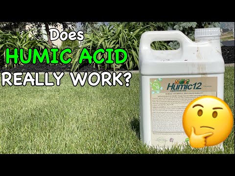 Does Humic Acid Really work for Lawns? | 2 Year Humic Acid Results