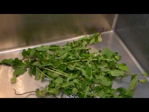 How To Clean Mint Leaves