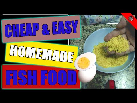Cheap &amp; Easy Homemade Fish Food | High Protein