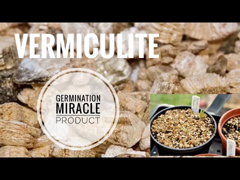 HOW TO USE VERMICULITE 101. A SOIL SCIENTISTS THOUGHTS ON THE PROS/CONS | Gardening in Canada 👩‍🔬