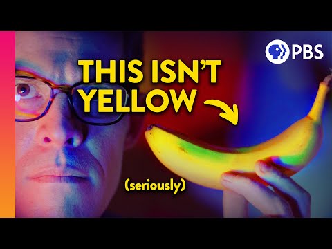 How Do We Actually See Color?