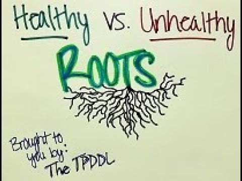 WHAT Wednesday: Healthy vs. Unhealthy Roots