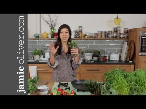 Basic Herbs Masterclass with Georgie