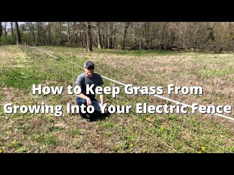 How to Keep Grass From Growing Into Your Electric Fence