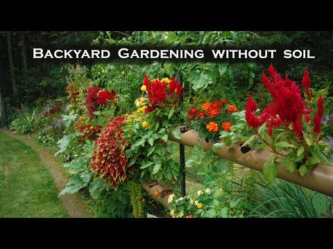 Hydroponics Mixed Vegtables &amp; Flowers - Solar Powered Backyard Gardening Flood &amp; Drain System