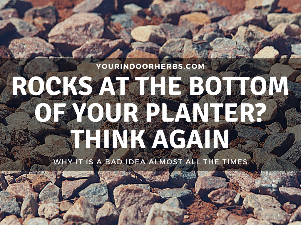 Should You Put Rocks At The Bottom Of Your Plant Pot Your Indoor Herbs