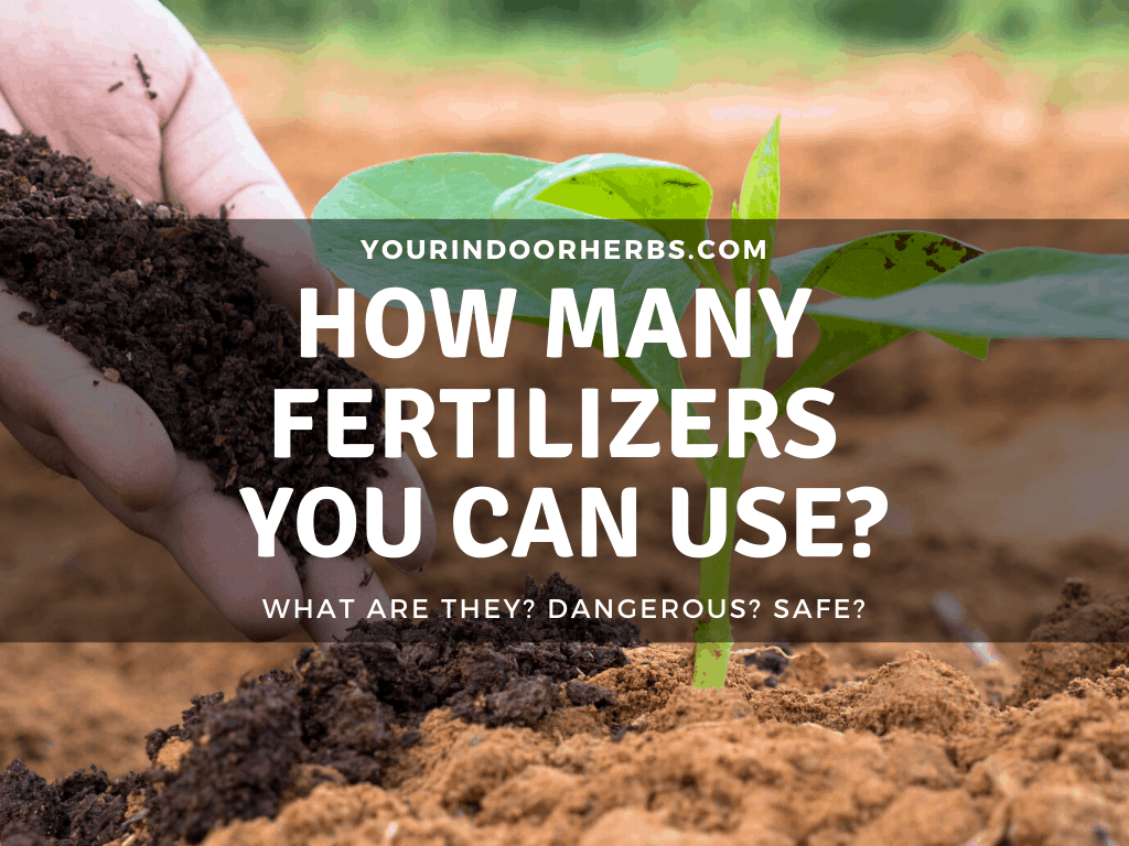 Do You Know All Fertilizers For Your Plants? Full List