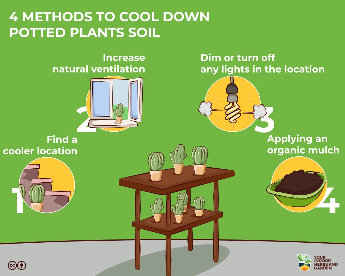 Herb Temperature Tolerance - Are Your Herbs Cold Tolerant? | Your ...