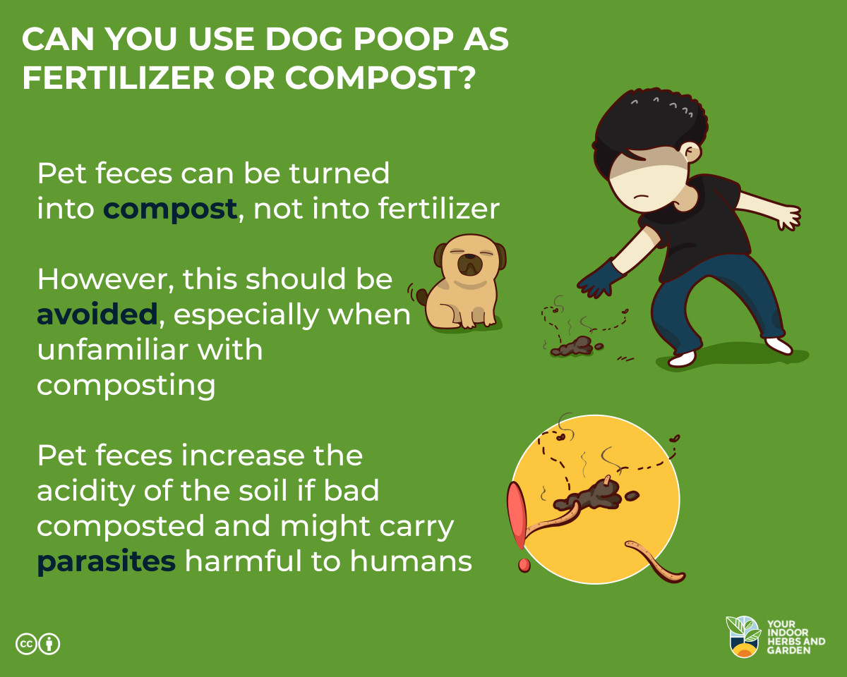 will dog poop kill my plants