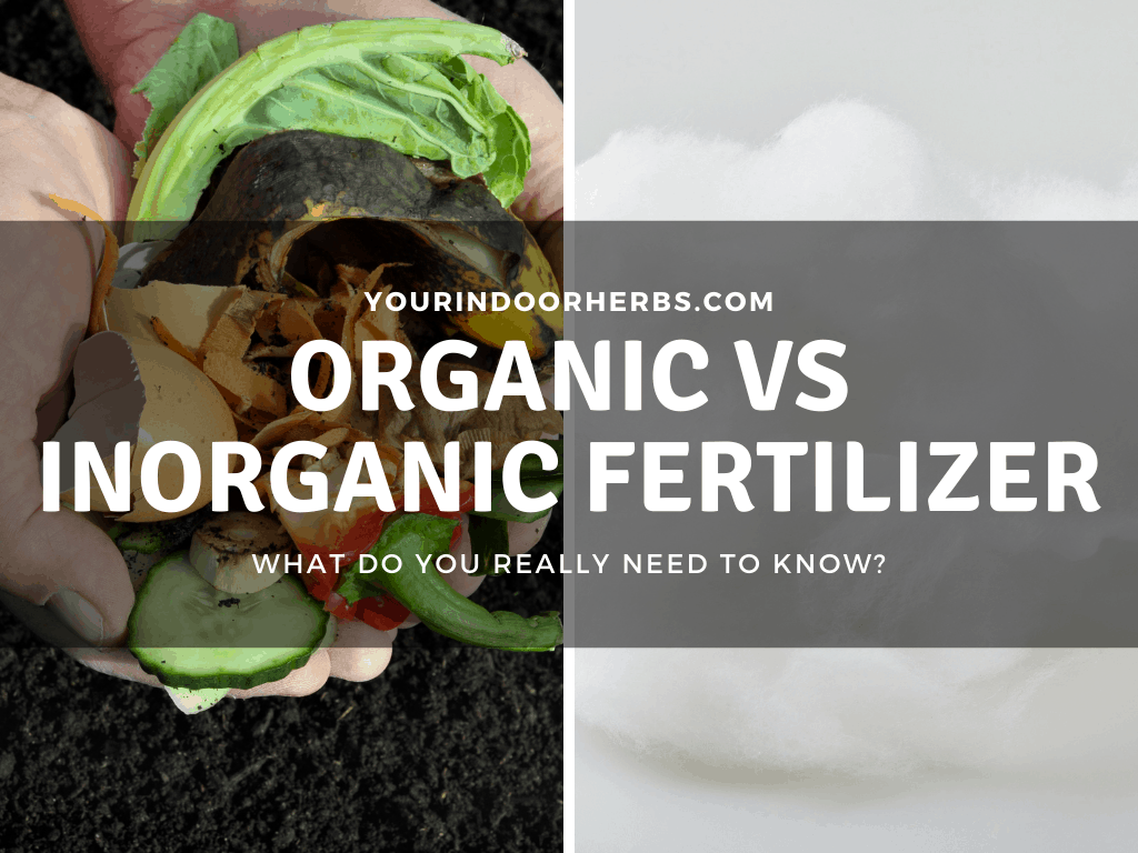 organic-vs-inorganic-fertilizer-difference-and-which-one-to-choose