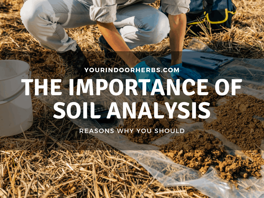 The Importance Of Soil Analysis 5 Reasons and 13 Methods Your 