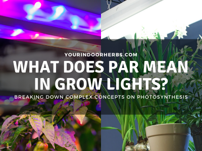 What is PAR in Grow Lights? What is the Best for Plants? | Your Indoor ...