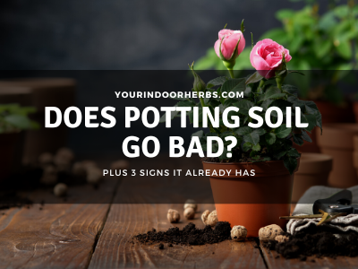 Does Potting Soil Go Bad? (Plus 3 Signs That It Has!) | Your Indoor ...